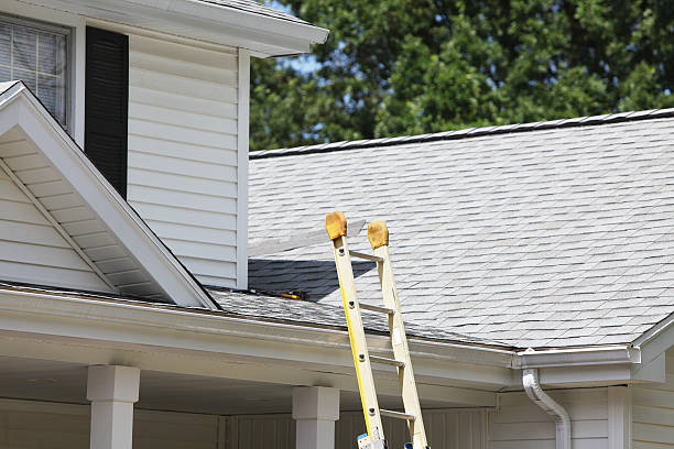 Best Shed Removal  in Utica, NY